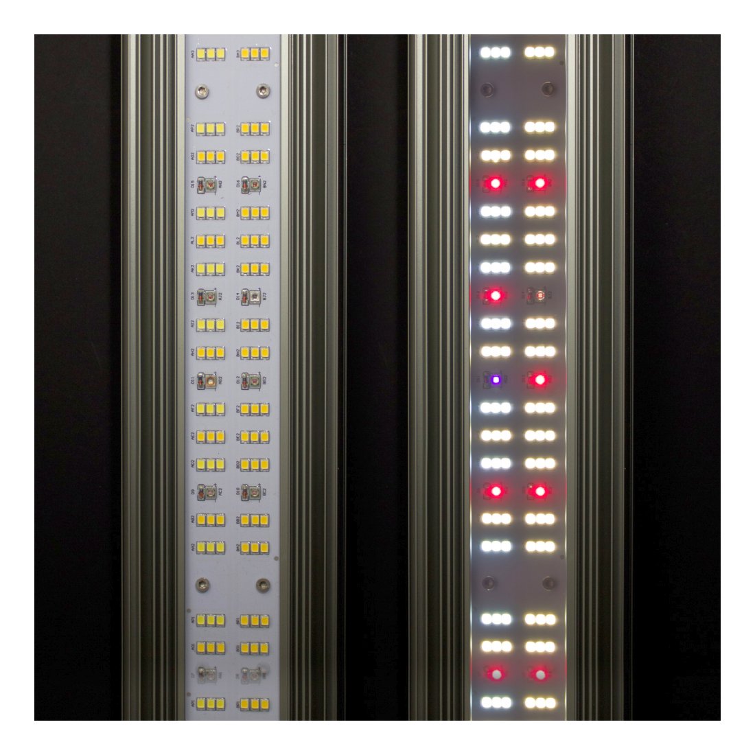 Greenception GCx-5solo PWR 200W