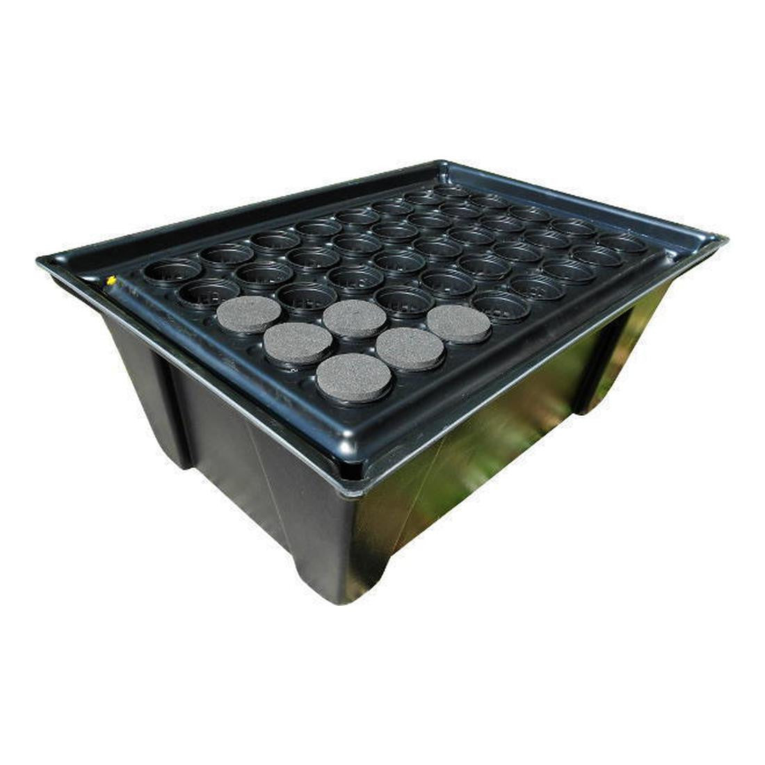 Nutriculture X-Stream Stecklingsvermehrer