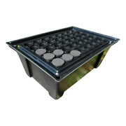 Nutriculture X-Stream Stecklingsvermehrer