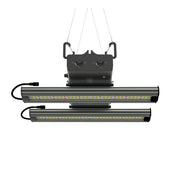 Greenception GCx 4 PWR LED 160W