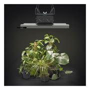 Greenception GCx 4 PWR LED 160W