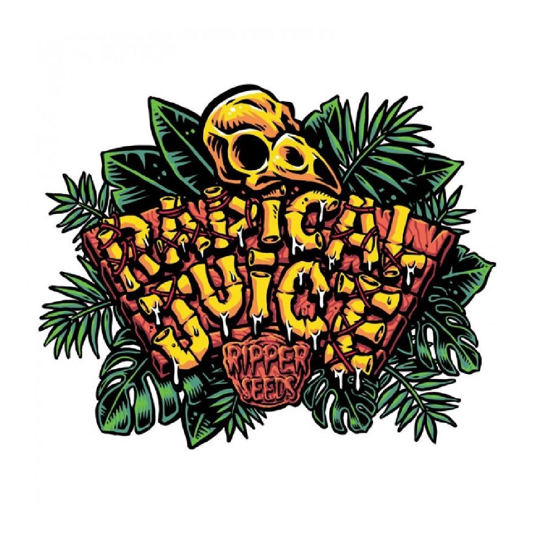 Radical Juice - Ripper Seeds feminisierte Hanfsamen