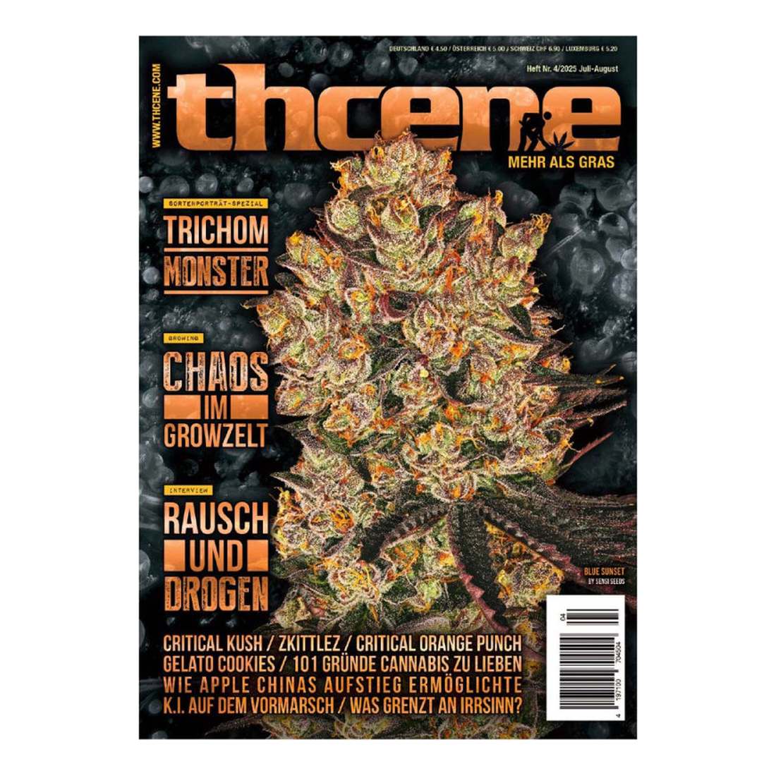 thcene Magazin Ausgabe 04/2025