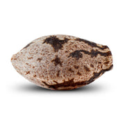 Washing Machine - Ripper Seeds feminisierte Cannabissamen