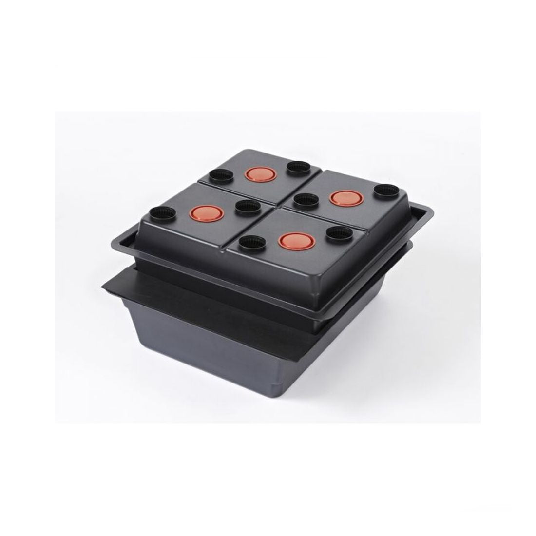 Amazon System für 8 Pflanzen