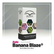 Auto Banana Blaze Packung mit Seeds