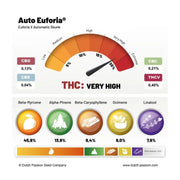 Auto Euforia - Terpenprofil von Dutch Passion
