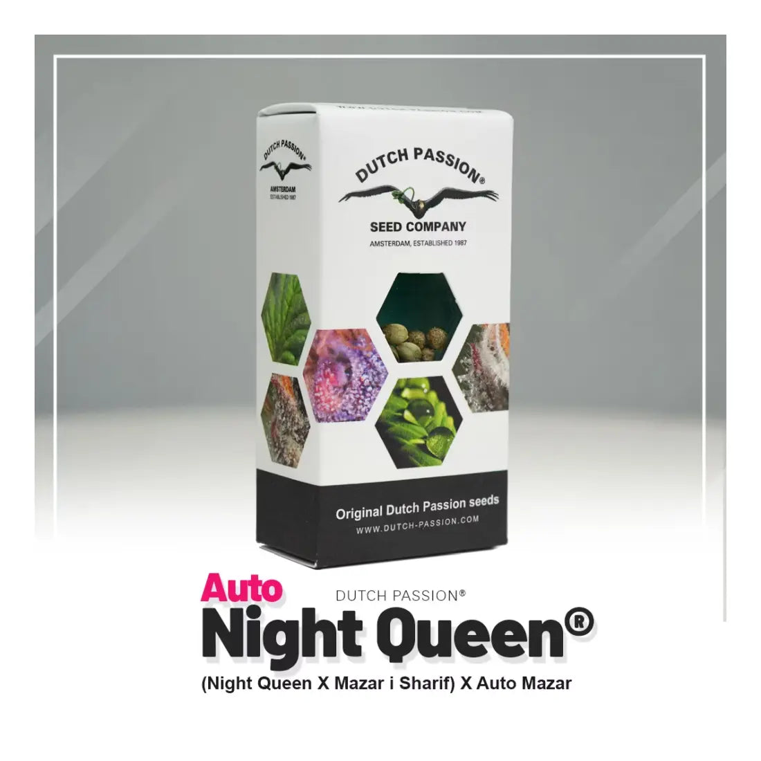 Auto Night Queen - Dutch Passion Samen