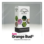 Auto Orange Bud - Dutch Passion Cannabissamen