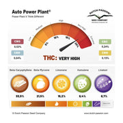 Auto Power Plant - Terpenprofil