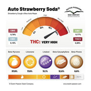 Auto Strawberry Soda - Terpenprofil