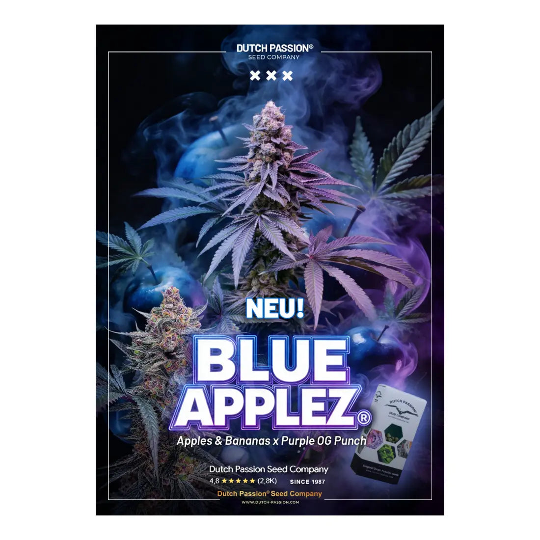 Blue Applez - 3 Samen - Dutch Passion