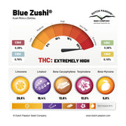 Blue Zushi Terpene