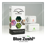 Blue Zushi - Dutch Passion Seed Company