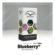 Blueberry - Dutch Passion  Seed Company