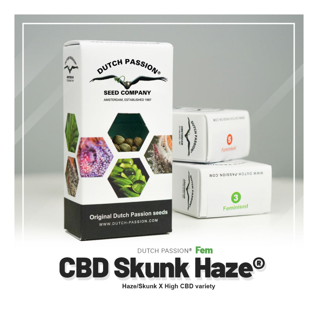 CBD Skunk Haze - 3 Samen
