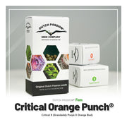 Critical Orange Punch - Dutch Passion Verpackung