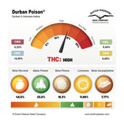 Durban Poison - 3 Samen