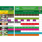 Dutchpro-Duengeplan-Amino Strength