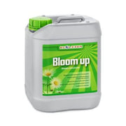 Ecolizer Bloom Up - Blütestimulator 5L