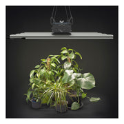 Greenception GCx-16 PWR 640W