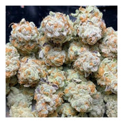 Slurricane - In House Genetics