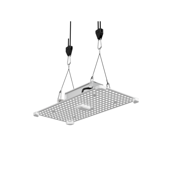 LUMII BLACK Blade 100W LED