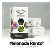 Melonade Runtz - Dutch Passion Seed Company