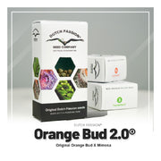 Orange Bud 2.0 - Dutch Passion - 3 Samen- Verpackung