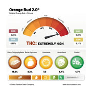 Orange Bud 2.0 - Dutch Passion - Terpenprofil