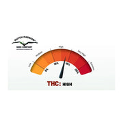 Pamir Gold - Dutch Passion - THC Level