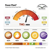 Power Plant - Dutch Passion - Terpenprofil