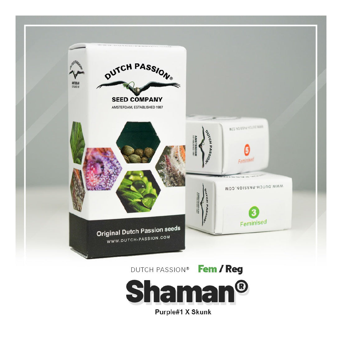 Shaman - Dutch Passion - 3 Samen