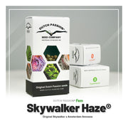 Skywalker Haze - Dutch Passion Seed Company