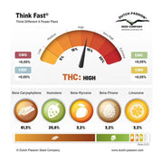 Think Fast - Dutch Passion - Terpenprofil