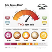 Auto Banana Blaze Terpenprofil 