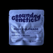 Blue Gelonade Grounded Genetics 7 Samen