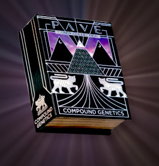 Compound Genetics Pavé Collection