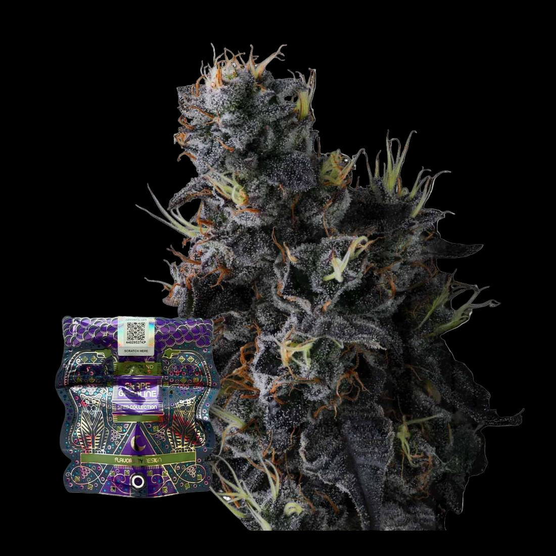 Compound Genetics - Giggin' Grapes Cannabissamen