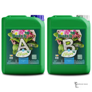 DutchPro Basisdünger A+B Bloom Soil - für weiches Wasser
