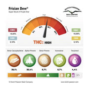 Frisian Dew - Terpenprofil -  Dutch Passion 