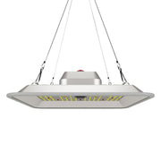 Greenception LED GC Pure 60W