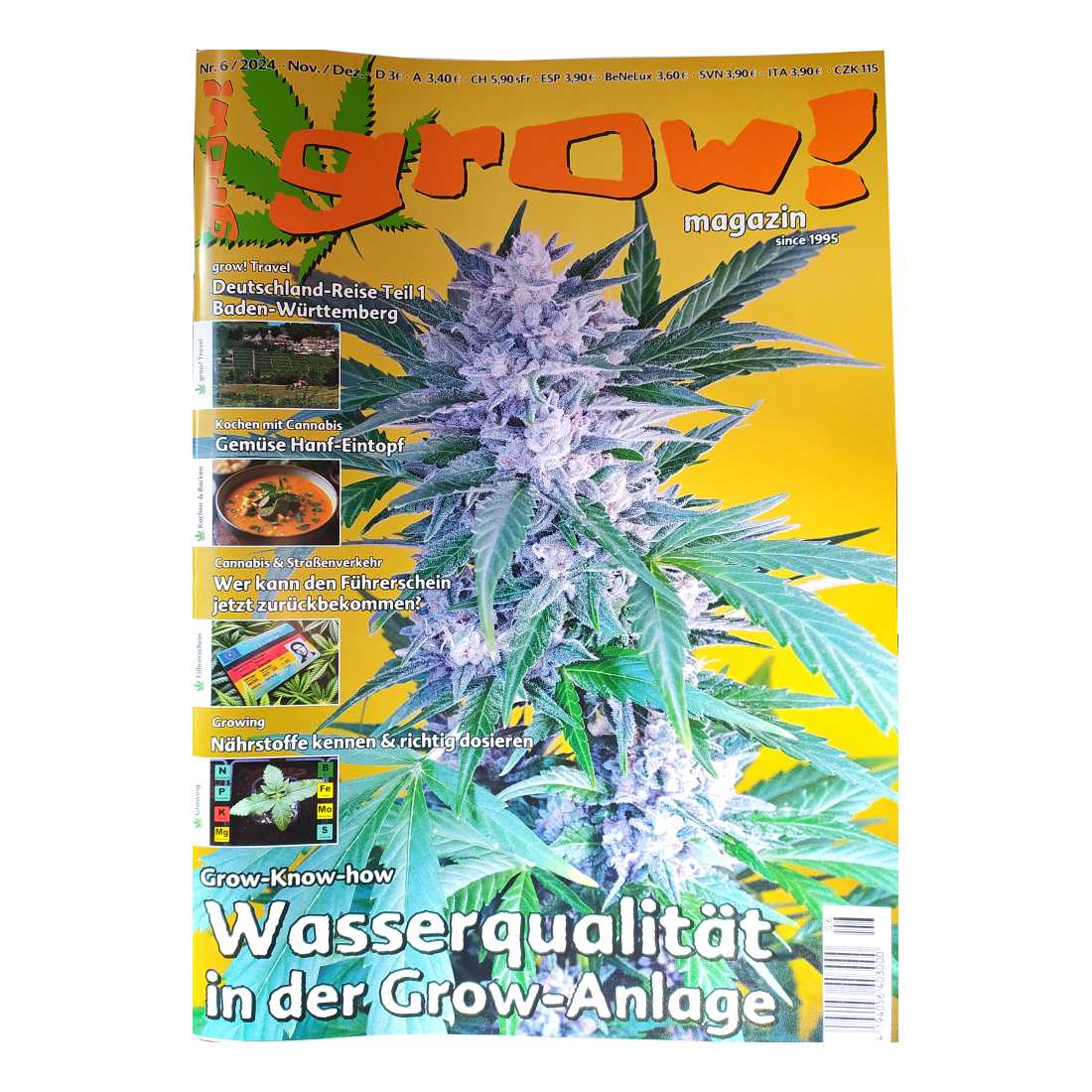 Grow! Magazin neueste Ausgabe 06/2024
