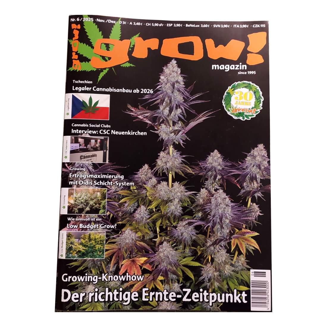 thcene Magazin neueste Ausgabe 06/2025
