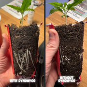 DYNOMYCO Premium Mykorrhiza Granulat