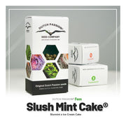 Slush Mint Cake - 3 Samen
