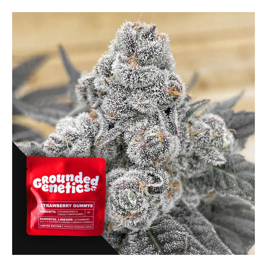 Strawberry Gummies - 7 Samen Grounded Genetics