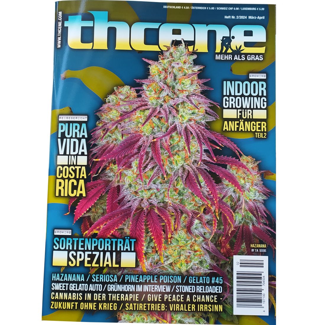 thcene Magazin Ausgabe 02/2024