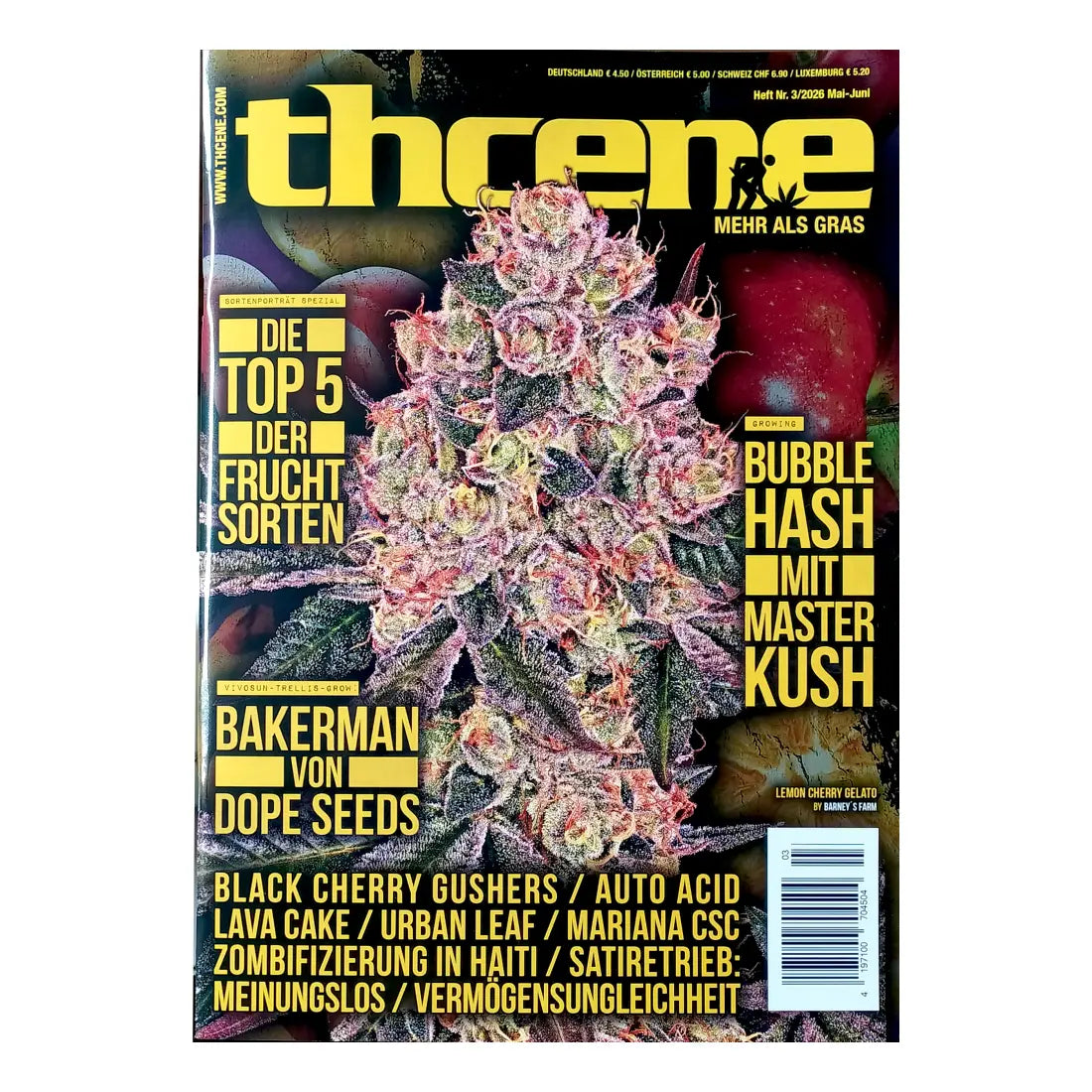 thcene Magazin neueste Ausgabe 03/2026