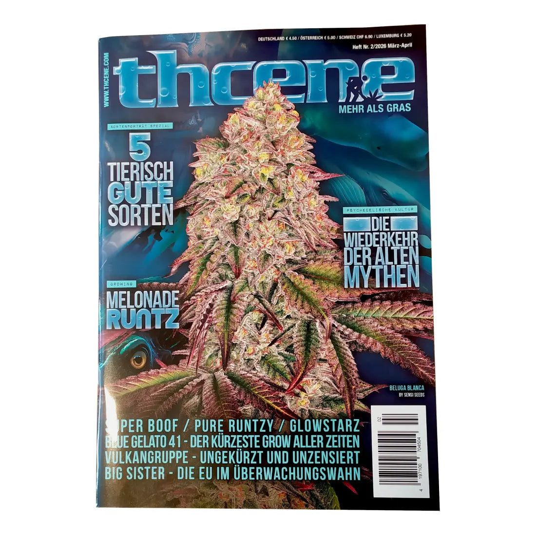 thcene Magazin Ausgabe 02/2026